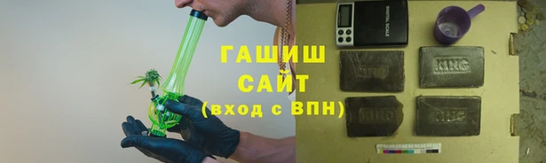 индика Инта