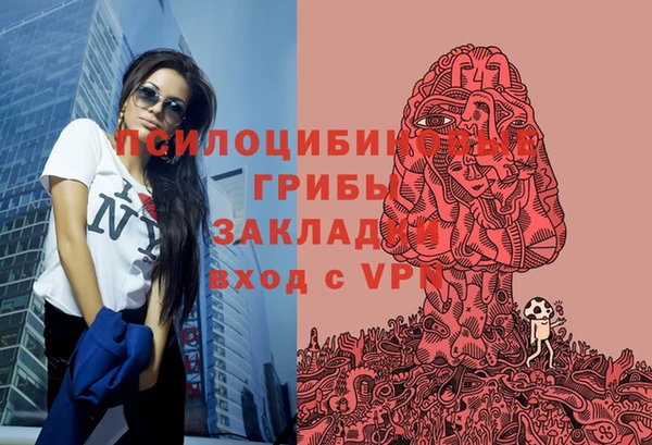 молекула духа Алексин