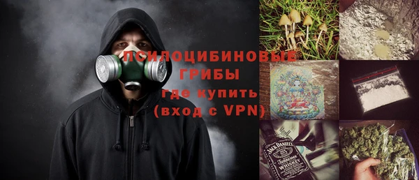 молекула духа Алексин